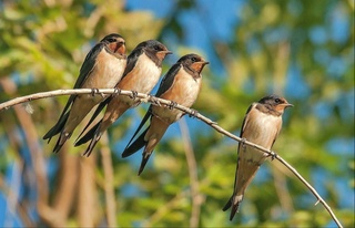 Прогноз погоды на 23 апреля