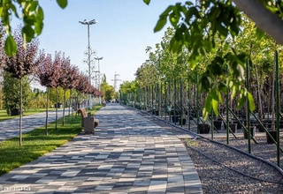 In Uzbekistan, in 2022-2024, "green public parks" will be re-erected on an area of 1082 hectares