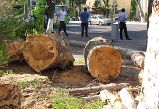 Определены размеры денежных вознаграждений за сообщения о правонарушениях в области экологии и культуры