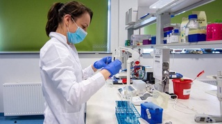 “Коронавирус заррачалари Қуёшнинг ультрабинафша нурлари таъсирида 5 дақиқа ичида йўқ бўлади” – олимлар