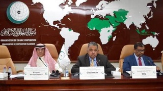 Представители Узбекистана принимают участие в заседании Межправительственной экспертной группы ОИС по противодействию коррупции