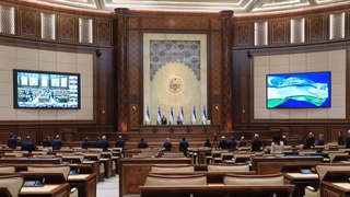 Установлено, что одно и то же лицо не может быть председателем Сената более двух сроков подряд