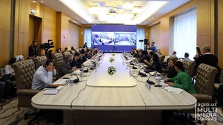 Узбекистан и IFAD расширяют стратегическое сотрудничество для обеспечения продовольственной безопасности и преодоления глобальных вызовов