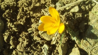 Antitsiklon preferiyasi bugun toʻliq Oʻzbekistonni tark etadi