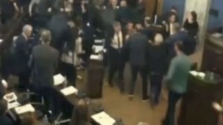 Грузия парламентида депутатлар ўртасида муштлашув келиб чиқди