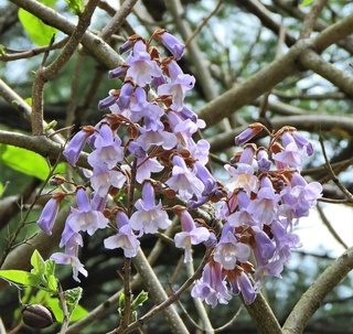 Dam olish kunlari kuzatiladigan ob-havo maʼlumotlari eʼlon qilindi
