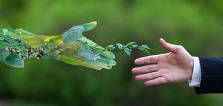 Атроф-муҳит муҳофазаси мавсумий масала эмас