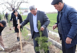 “Yashil makon” umummilliy loyihasida “Mahalla” jamoat fondi xodimlari faol qatnashdi