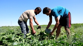 Обеспечивая занятость, повышая доходы