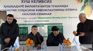 Kitob tumanida limonchilikni rivojlantirishga bagʻishlangan amaliy seminar oʻtkazildi