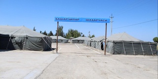 Кўнгилли теримчилар Сирдарё ва Жиззахга ошиқмоқда