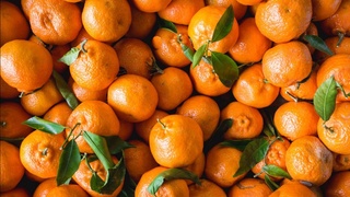 Pokistondan import qilingan mevalar tarkibida zararkunandalar aniqlandi