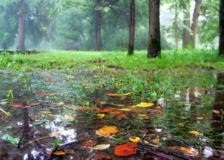 Weather forecast for September 17th