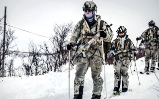 Германия отправляет солдат в Гренландию