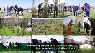 В Ташкенте дан старт инициативе «Men ham ko‘chat ekaman» в рамках акции «Yashil makon»