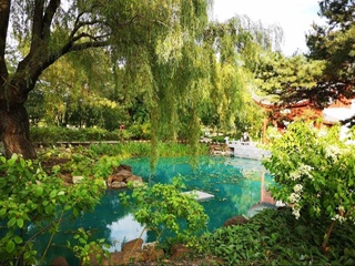 В каждом регионе Узбекистана будут созданы ботанические сады и дендрологические парки