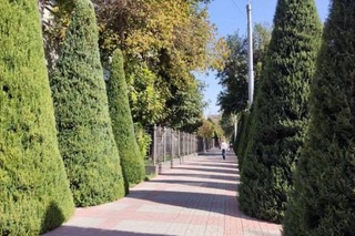 Прогноз погоды на 14 октября