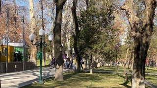 Прогноз погоды на 12 января