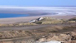 Шорланған жерлерге өсиўге бейимлескен өсимликлер анықланады