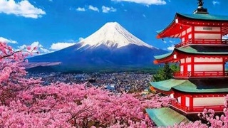 Uzbekistan Airways Yaponiyaga reyslarni vaqtincha bekor qilmoqda