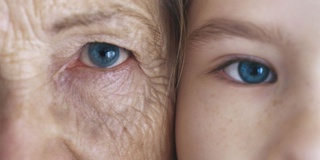 Bir hafta ichida organizmni yoshartirish yo'li topildi