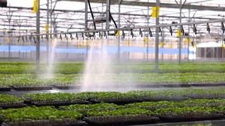 The World Bank will allocate $ 3 million to the Center for Variety Testing of Agricultural Crops