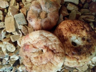 Тошкент шаҳрида бир кунда жами 2 тоннага яқин нон чиқиндига ташлаб юборилмоқда