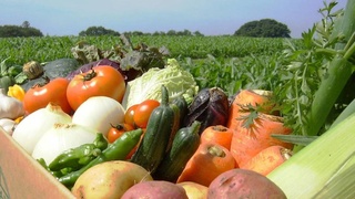 Узбекистан и Азербайджан планируют увеличить торговлю агропродукцией