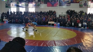 Эркин кураш бўйича барча вазн тоифаларида Ўзбекистон чемпионлари маълум бўлди