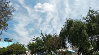 Гидрометеорология хизмати эртага қандай об-ҳаво кутилаётганини маълум қилди 