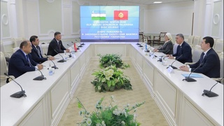 Халқаро кузатувчилар: сайлов жараёнлари юқори савияда ташкил этилди