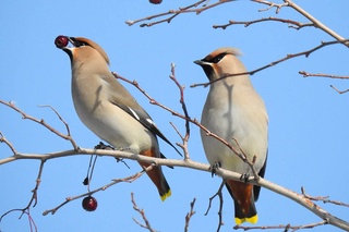 Прогноз погоды на 29 февраля