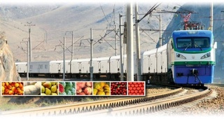 Russia, Uzbekistan to launch Agroexpress project