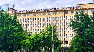 Привыкшие к новым реалиям