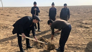 Ғузорда 100 гектарлик ёнғоқ плантацияси ташкил этилмоқда