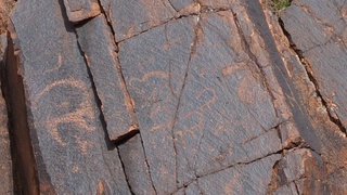 Oʻzbekistonda jahon paleolitshunosligi uchun ham noyob boʻlgan topilma aniqlandi