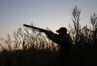 В Узбекистане разрешена охота на отдельные виды птиц