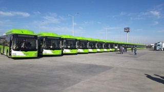 Тошкентга 190 дона катта сиғимли янги автобус келтирилади