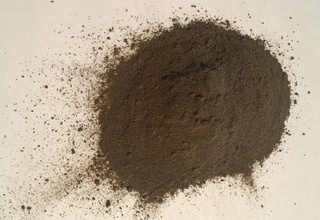 Olimlar Oy tuprogʻida oʻsimliklar oʻsishi mumkinligini isbotlashdi