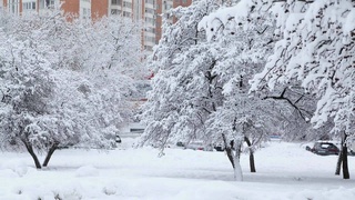 Weather forecast for December 16th