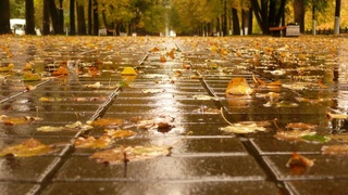 Ҳафтанинг биринчи ярмида ёмғир ёғади ва ҳаво салқин бўлади