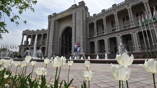 В Душанбе пройдут Дни узбекского кино