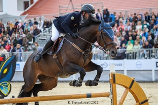 Спортчимиз энг асосий дастурда тенгсиз