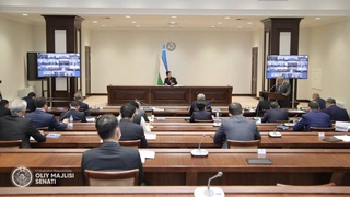 Девятнадцатое пленарное заседание Сената Олий Мажлиса завершило свою работу