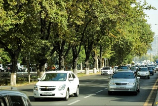 В Минэкологии объяснили причины загрязнения воздуха в Ташкенте
