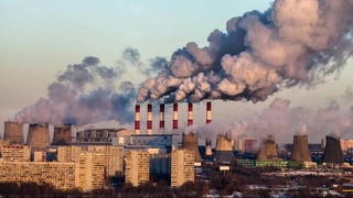 Дунё аҳолисининг 99 фоизи ифлосланган ҳаводан нафас олмоқда — БМТ