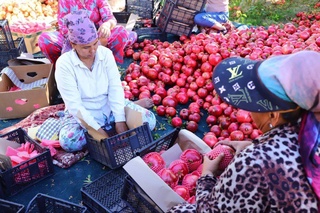 Гранатоводство - одна из «точек роста» махалли «Армижон» Навбахорского района Навоийской области