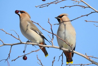 Прогноз погоды на 13 февраля