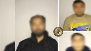 Ваҳшийликни тасвирга олиб ижтимоий тармоқларга тарқатганлар қамоққа олинди