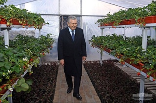 The President of Uzbekistan visits a mahalla in Khiva